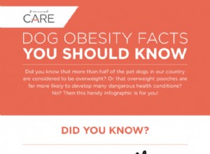犬の肥満に関するいくつかの事実を明らかにする 