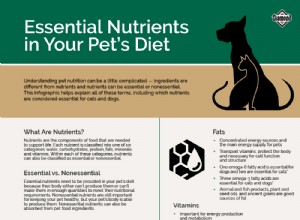 ペットの食事に欠かせない栄養素 