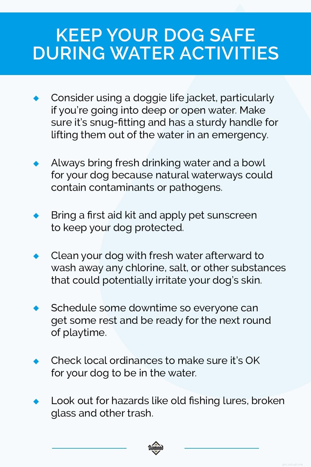 Splashin’ Around Safely:Water Fun for Your Dog