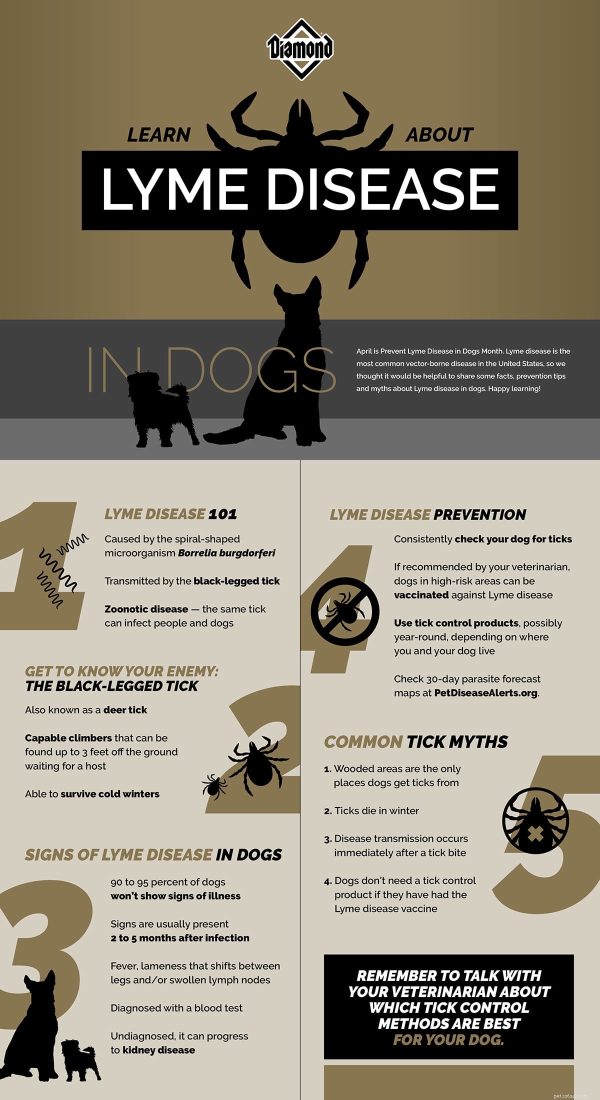 Meer informatie over de ziekte van Lyme bij honden