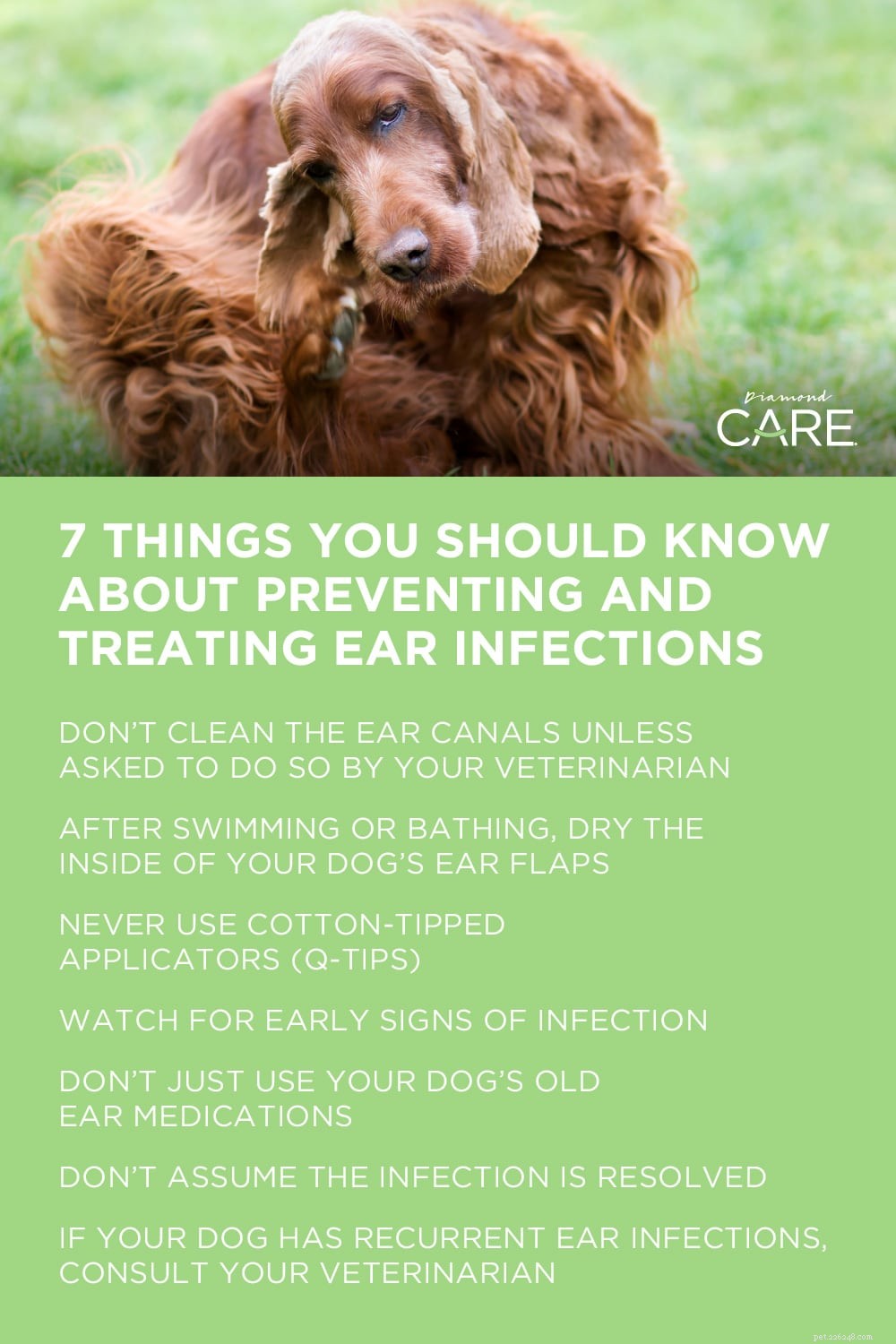 Aproveite as infecções de ouvido na primavera