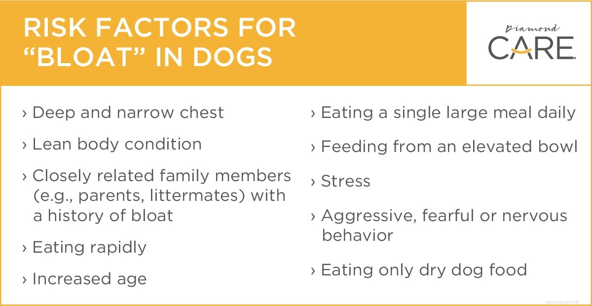 É inchaço? Ou seu cão tem algo pior, como dilatação gástrica-volvulus (GDV)?