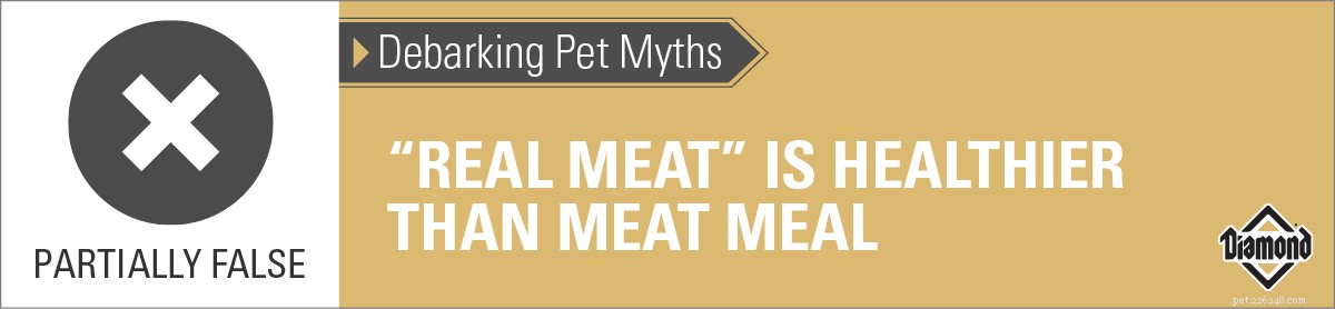 Décorer les mythes des animaux de compagnie :la  vraie viande  est plus saine que la farine de viande