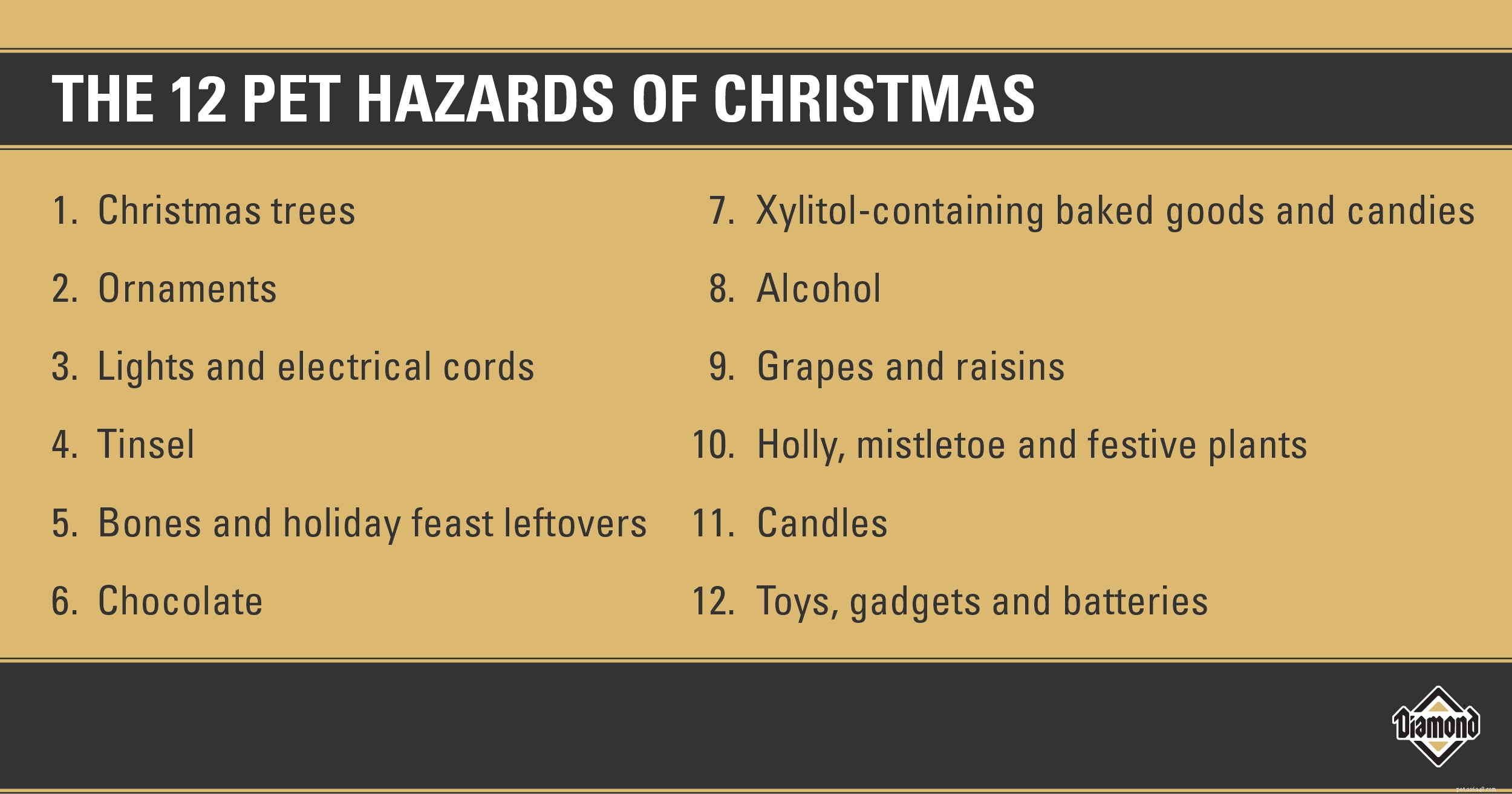 I 12 pericoli per gli animali domestici del Natale