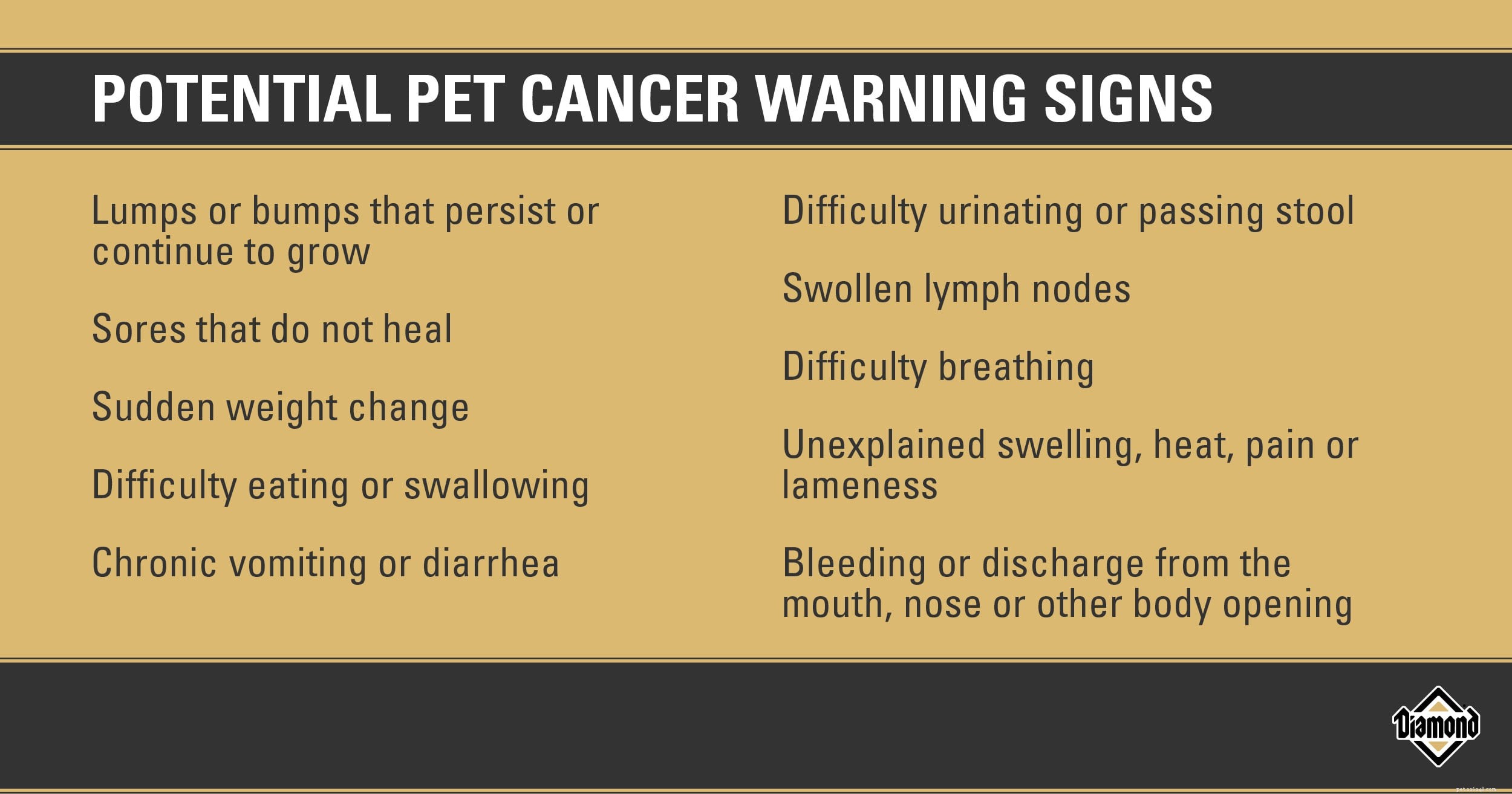 Mês de conscientização sobre o câncer em animais de estimação:você conhece os sinais?