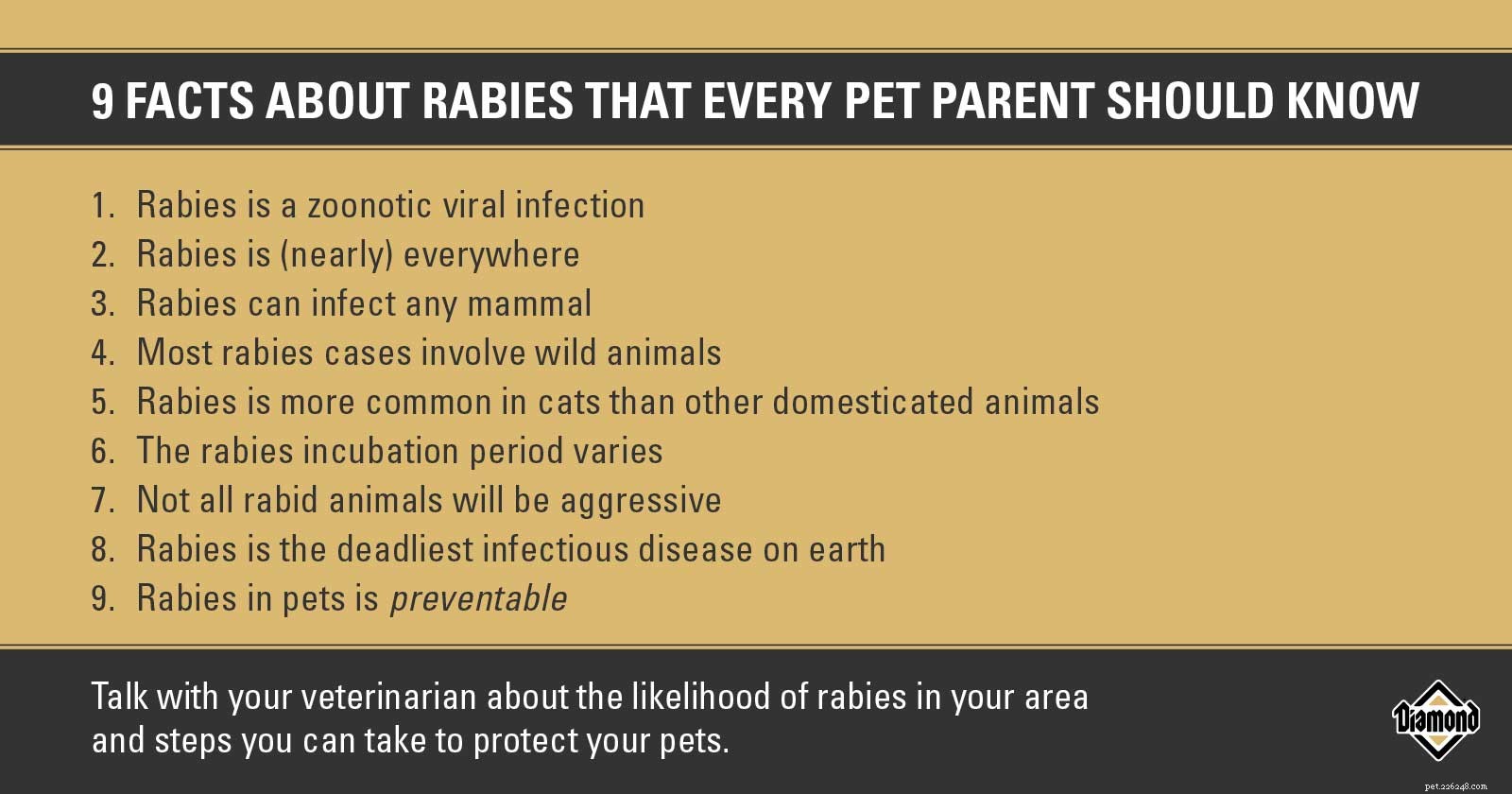 すべてのペットの飼い主が知っておくべき狂犬病についての9つの事実 