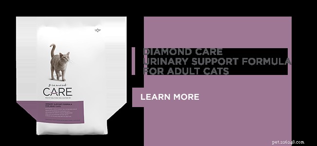 大人猫のための新しいダイヤモンドCARE尿サポートフォーミュラを紹介