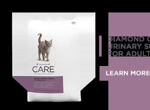 성인 고양이를 위한 새로운 Diamond CARE 비뇨기 보조제 도입