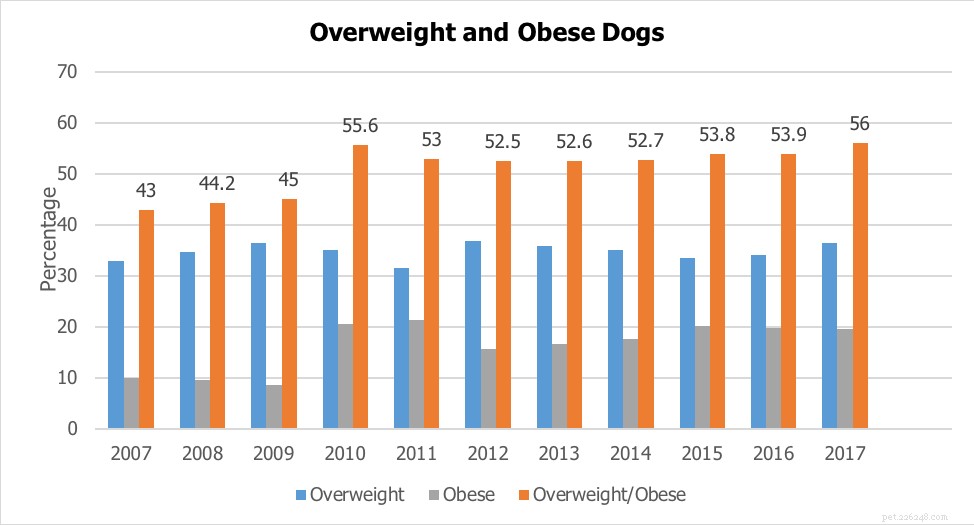 Obesitas bij honden blijft gestaag stijgen