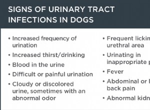 Infection, maladie et insuffisance rénales chez le chien :elles sont toutes synonymes de troubles urinaires