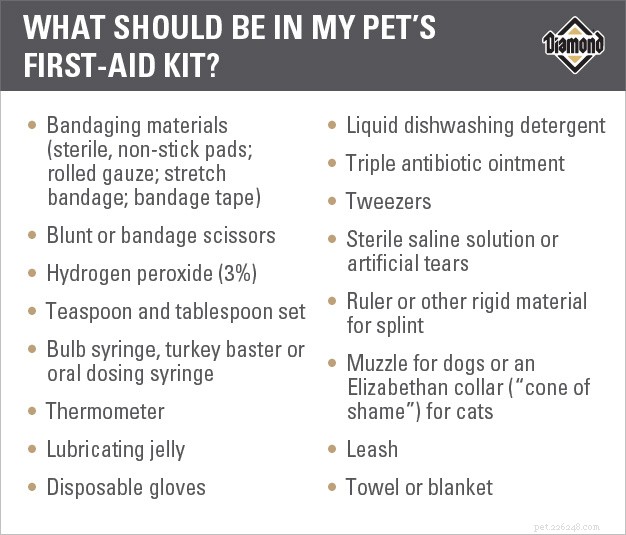 Bent u voorbereid op een noodgeval voor de gezondheid van uw huisdier?