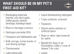 애완동물 건강 비상 사태에 대비하고 있습니까?