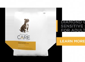 Co je třeba zvážit při hodnocení krmiva pro psy pro citlivé žaludky | Diamond Pet Foods