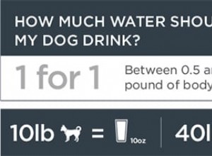 L hydratation est importante pour la santé de votre chien