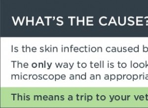 Poškozená kůže s rizikem sekundárních infekcí