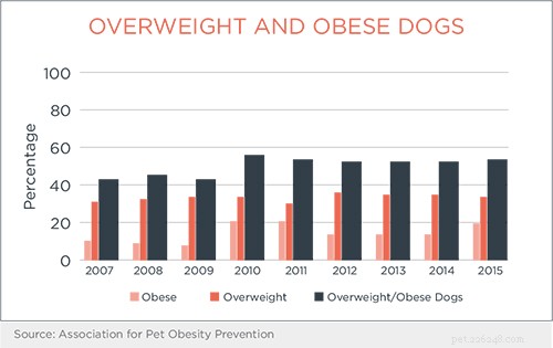 Waarom worden onze honden dikker?