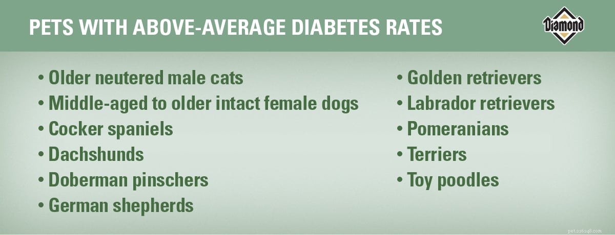 Loopt mijn huisdier risico op diabetes?