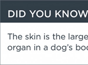 Правильный корм может помочь собаке с чувствительной кожей