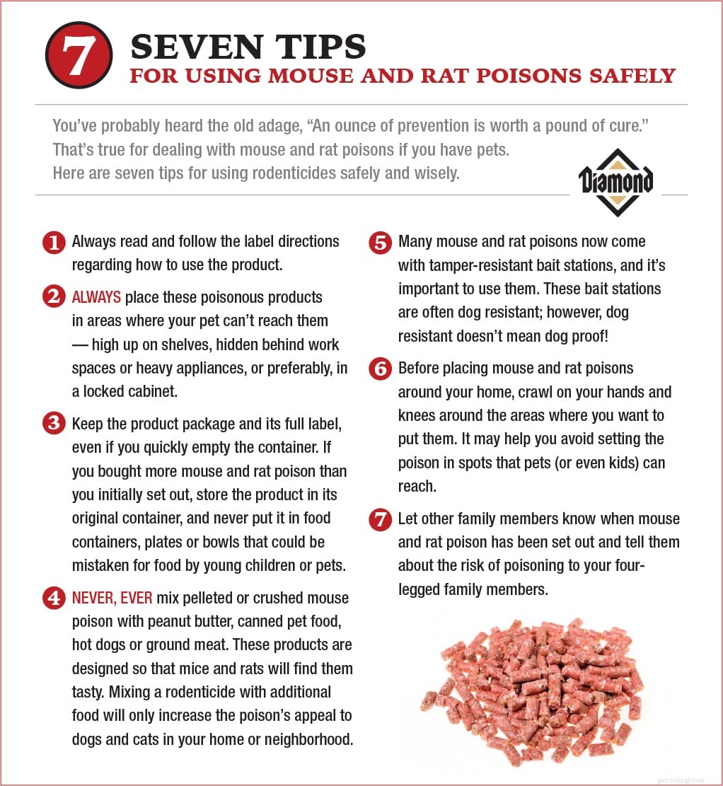 Cose che devi sapere sul veleno per topi per tenere al sicuro i tuoi animali domestici