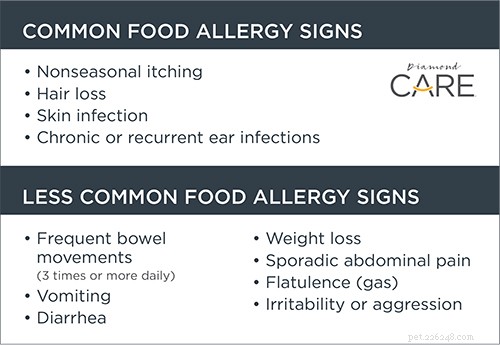 음식 알레르기 또는 음식 과민증:강아지 배에 무슨 문제가 있습니까?