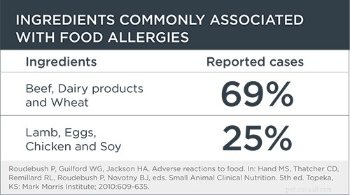 食物アレルギーまたは食物不耐性：私の犬のおなかの何が問題になっていますか？ 