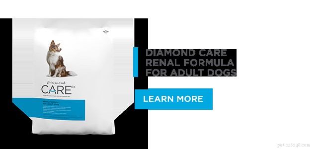 Fórmula renal Diamond CARE Rx para cães adultos