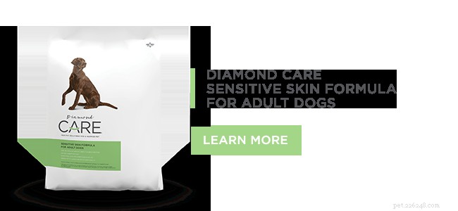 Fórmula de pele sensível Diamond CARE para cães adultos