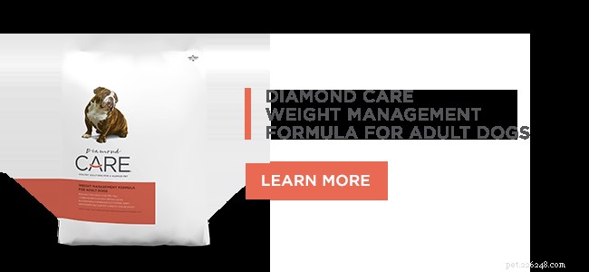 Diamond CARE viktkontrollformel för vuxna hundar