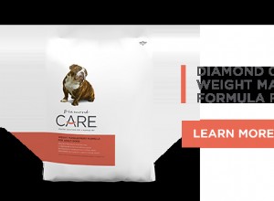 성견을 위한 Diamond CARE 체중 관리 공식