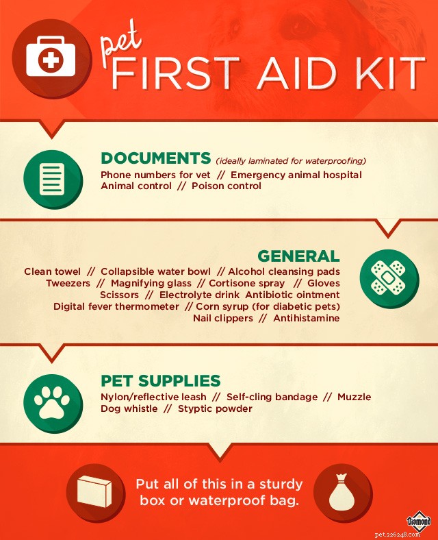 23 articoli che DEVI avere nel kit di pronto soccorso per animali domestici