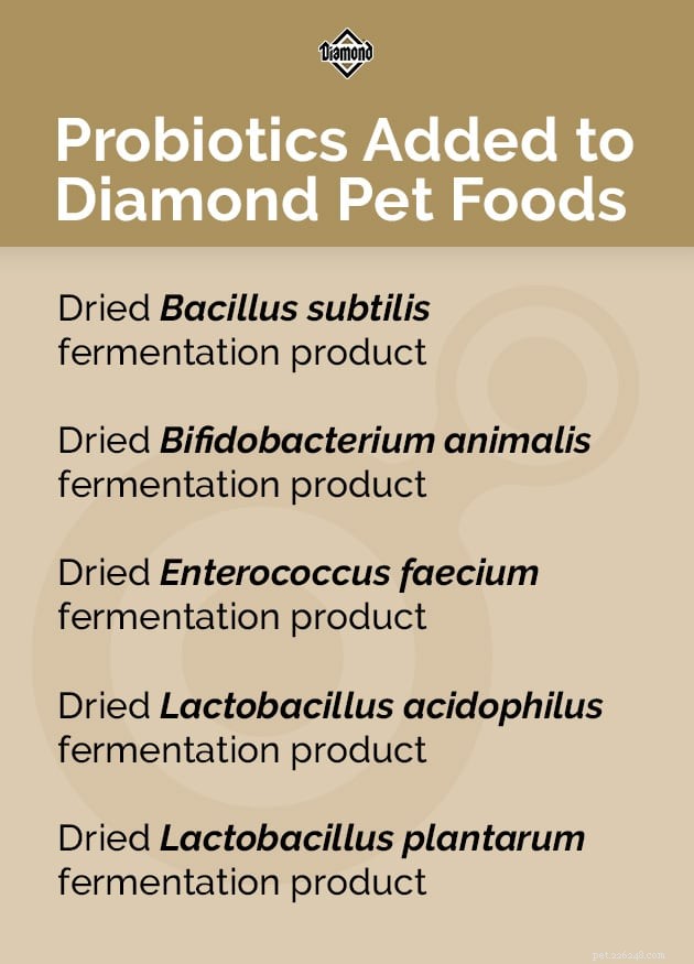 Vantaggi bonus degli ingredienti per alimenti per animali domestici:probiotici