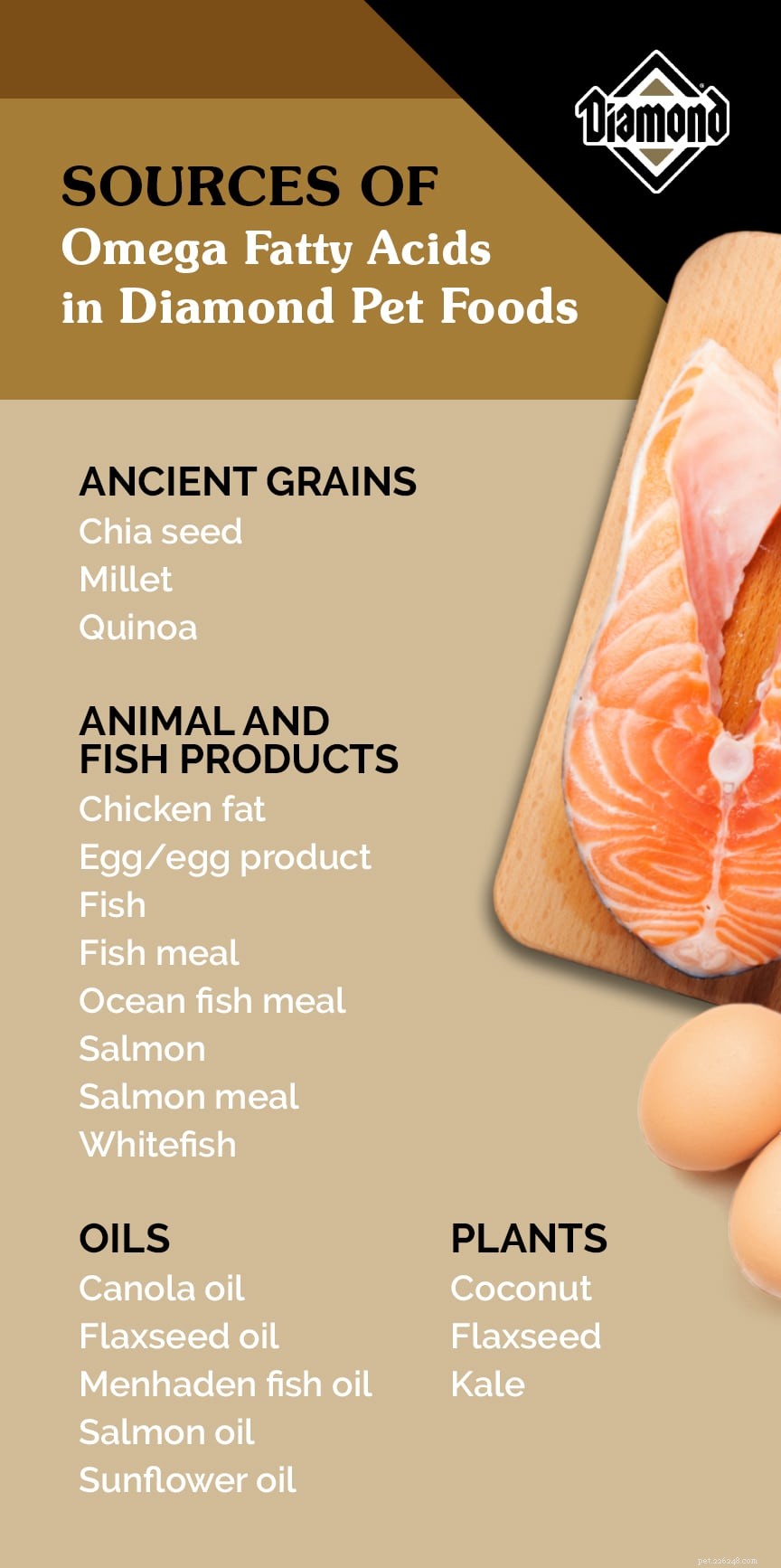Vantaggi bonus degli ingredienti per alimenti per animali domestici:acidi grassi omega
