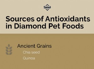 Дополнительные преимущества ингредиентов корма для домашних животных:антиоксиданты