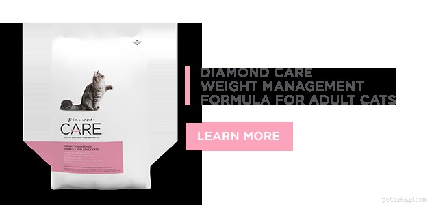Formula Diamond CARE per la gestione del peso per gatti adulti