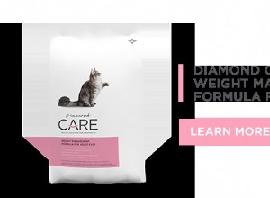 Формула управления весом Diamond CARE для взрослых кошек