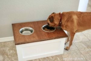 Briljante ideeën voor het bewaren van voer voor huisdieren