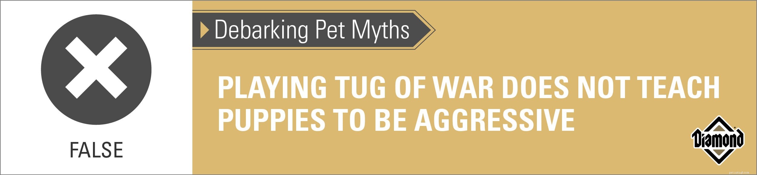 Мифы о окорке домашних животных:вызывает ли агрессию обучение щенков дерганию?