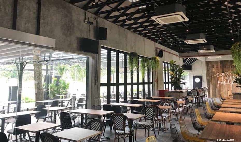 評価が含まれているシンガポールの11のドッグカフェ 