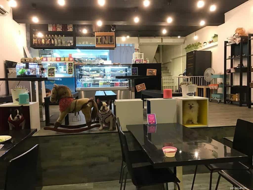 評価が含まれているシンガポールの11のドッグカフェ 