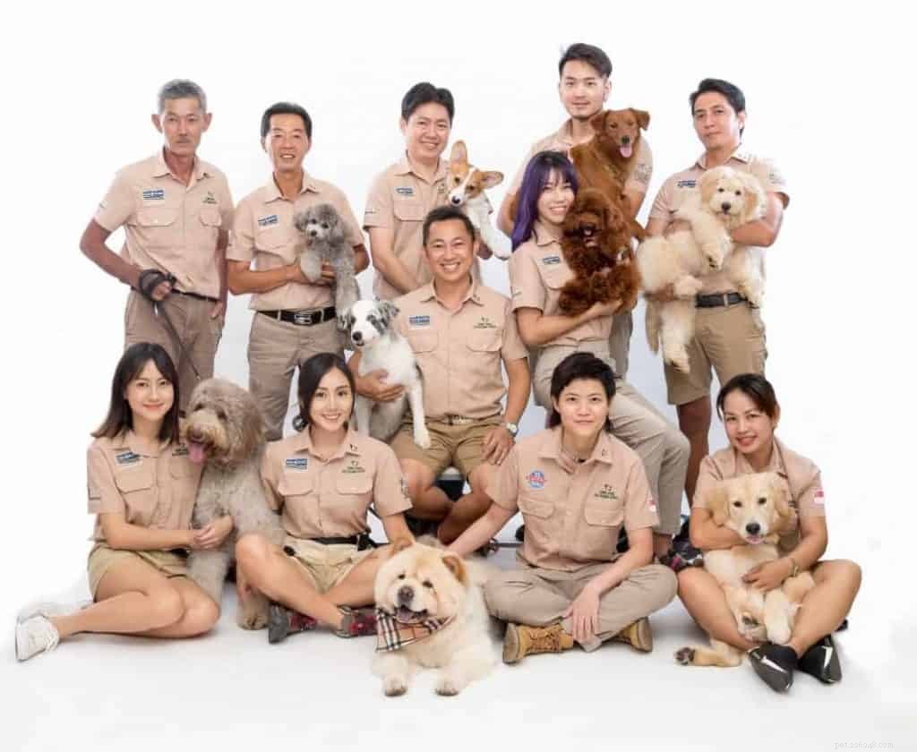 自宅で秩序を保ちたい飼い主のためのシンガポールの4つの犬の訓練学校 
