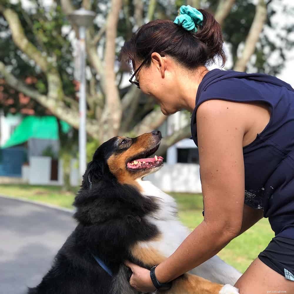 5 djurvaktstjänster och matchande plattformar i Singapore för din nästa semester