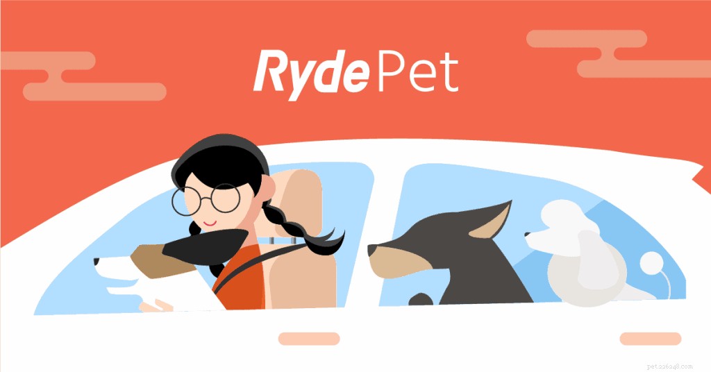 8 taxidiensten voor huisdieren om reizen met uw huisdier een makkie te maken