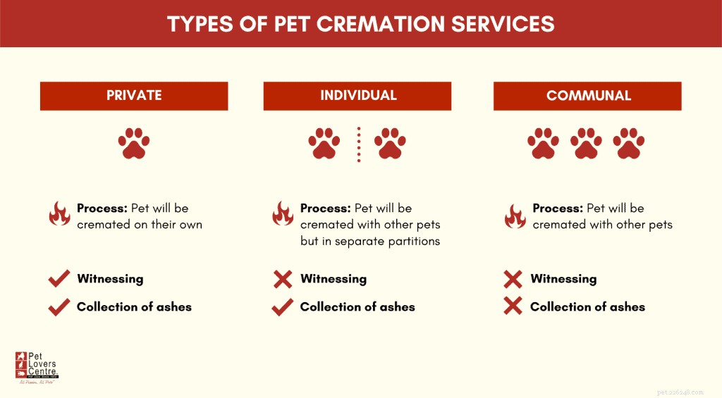 7 serviços de cremação de animais de estimação e columbários em Cingapura para quando seu peludo passar
