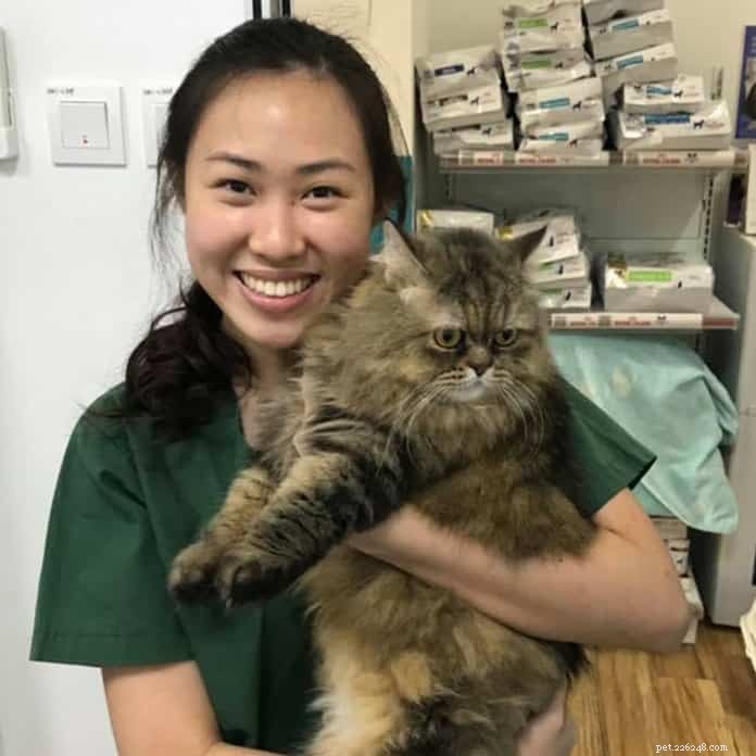 애완동물의 다음 방문을 위한 싱가포르 최고의 수의사 21곳 [24시간 응급 및 집 전화 서비스 포함]