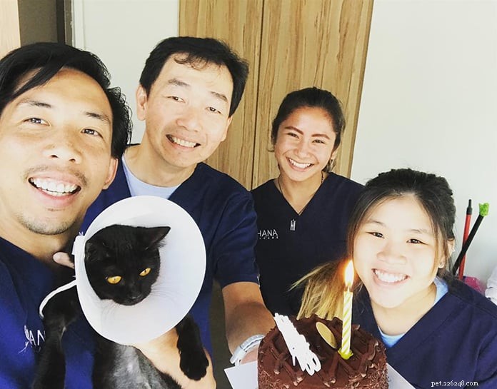 21 nejlepších veterinářů v Singapuru pro příští návštěvu vašeho mazlíčka [Zahrnuje 24hodinové, tísňové a domácí volání]