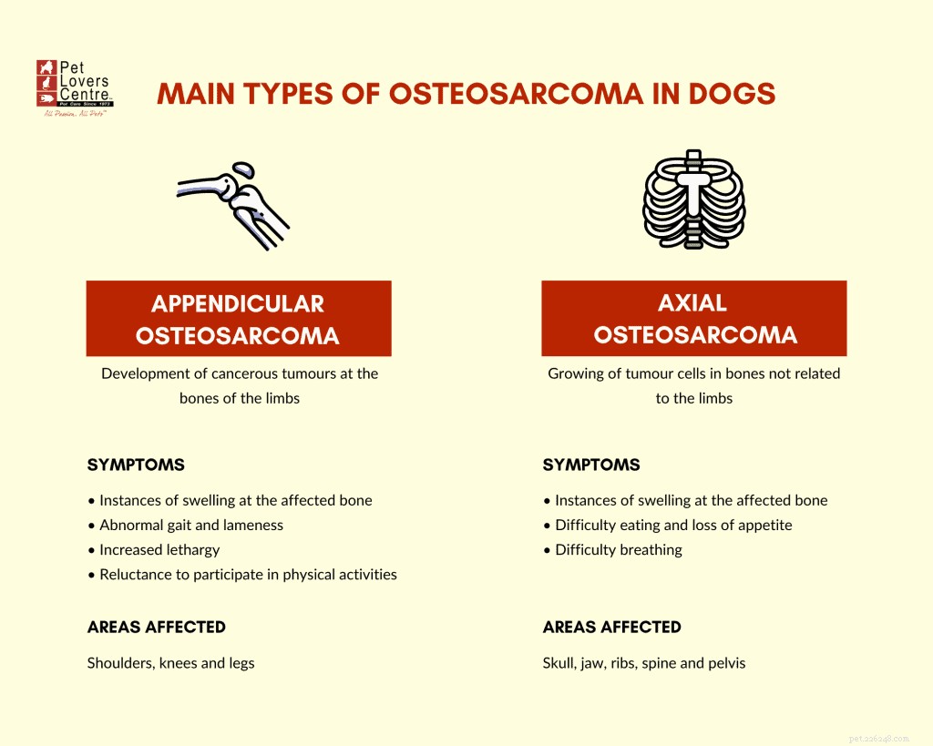 Informazioni veterinarie sull osteosarcoma nei cani:cause, sintomi e trattamento