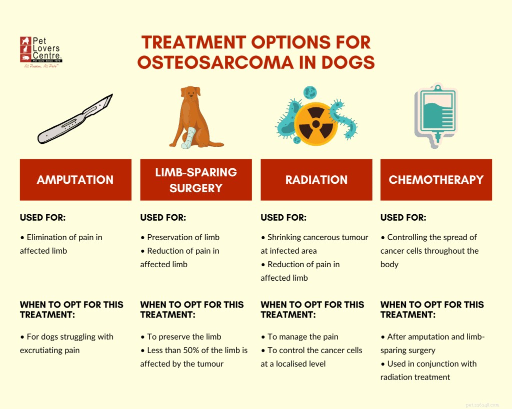 Informações veterinárias sobre osteossarcoma em cães:causas, sintomas e tratamento