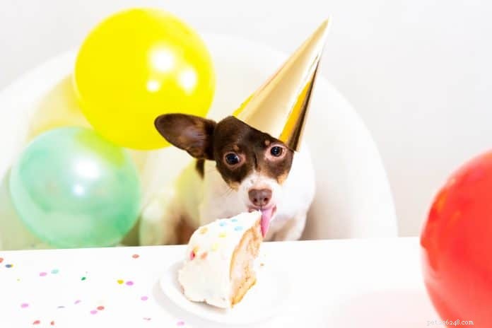 14 пекарен для собак, которые доставляют торты на день рождения в Сингапуре