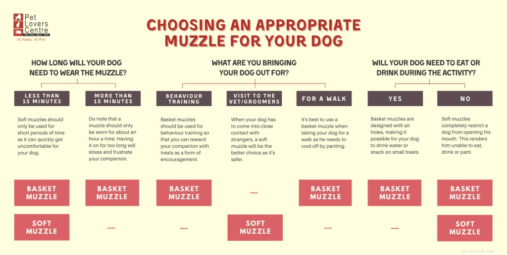 Tout ce que vous devez savoir sur les muselières pour chiens