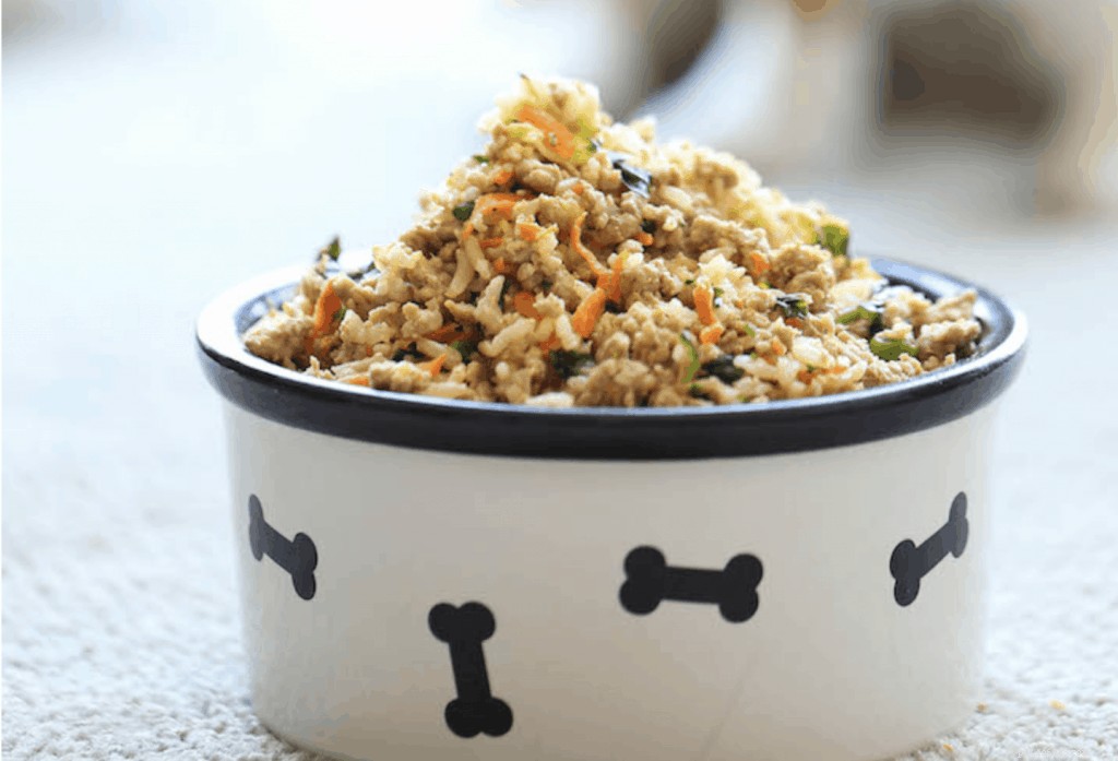 7 ricette salutari per cibo e snack per cani con pollo create da esperti di animali domestici